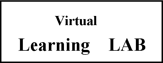 Virtual Learning Lab